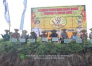 Pemkab Tapin Berikan Penghargaan Ke Perusahaan Atas Penurunan Stunting  