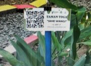 PT AGM Siap Dukung Pemasaran Produk Asman Toga Desa PK Hilir 10 PT AGM Siap Dukung Pemasaran Produk Asman Toga Desa PK Hilir