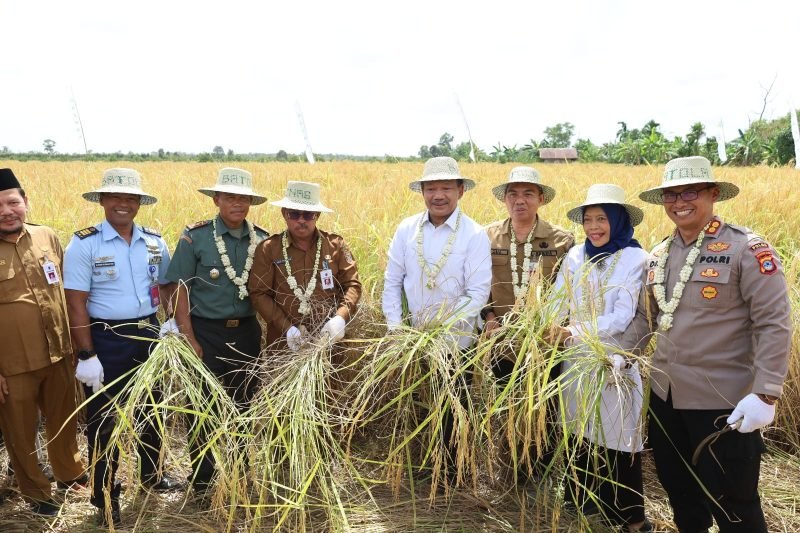 IMG 20240813 WA0043 e1723546864848