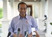 Jokowi Sebut Penurunan Populasi Kelas Menengah Problem Hampir Semua Negara 18 Jokowi Sebut Penurunan Populasi Kelas Menengah Problem Hampir Semua Negara