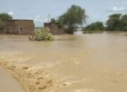 Korban Tewas Akibat Banjir Menjadi 205 Orang 29 Korban Tewas Akibat Banjir Menjadi 205 Orang