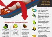 Upaya Pemerintah mengurangi impor minyak
