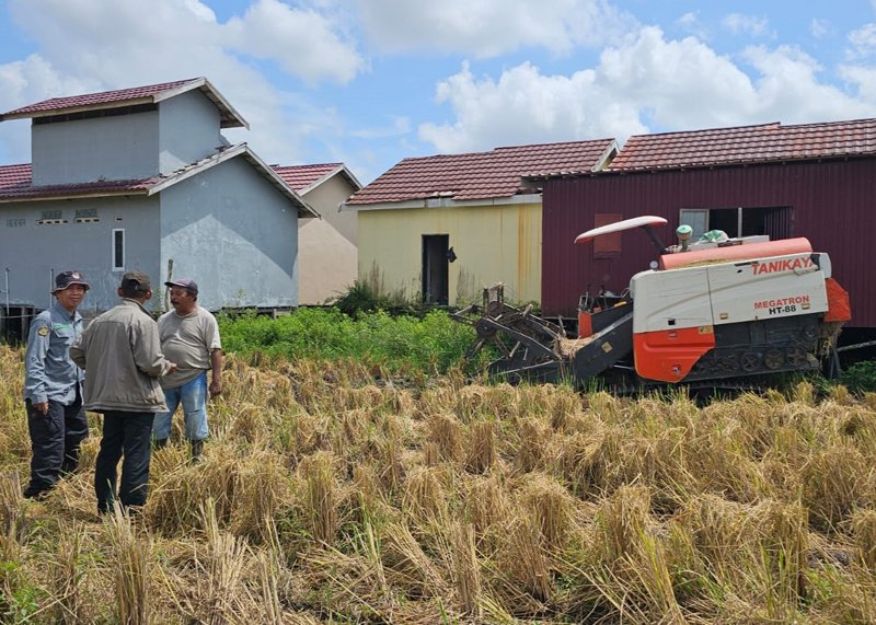 Hal 10 3 Klm Panen MTP