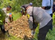 Baksos Polsek Pulaulaut Timur Perbaikan Jalan Desa Sajakah 27 Baksos Polsek Pulaulaut Timur Perbaikan Jalan Desa Sajakah