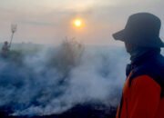 Sehari, Karhutla Terjadi Di Lima Desa 16 Sehari, Karhutla Terjadi Di Lima Desa
