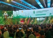 Jokowi Sebut Hutan Bakau RI Serap Karbon Lebih Baik dari Hutan Hujan Tropis