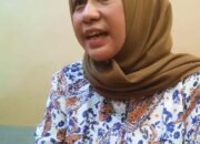 Lisa Bakal Umumkan Wakil Usai Fun Walk Kemerdekaan 30 Lisa Bakal Umumkan Wakil Usai Fun Walk Kemerdekaan