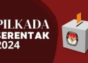 Jika Calon Tunggal Kalah, Ini Saran Perludem ke DPR