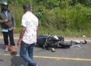 Pengendara Wanita Asal Kotabaru Tewas Usai Menabrak Dump Truk di Jorong 31 Pengendara Wanita Asal Kotabaru Tewas Usai Menabrak Dump Truk di Jorong