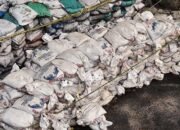 Penambangan Ilegal Pasir Diungkap Ditpolairud Polda Kalsel 26 Penambangan Ilegal Pasir Diungkap Ditpolairud Polda Kalsel