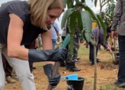 Tingkatkan Cadangan Karbon di Kalsel