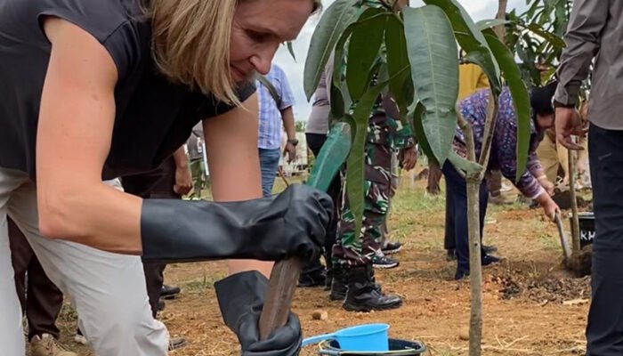 Tingkatkan Cadangan Karbon di Kalsel