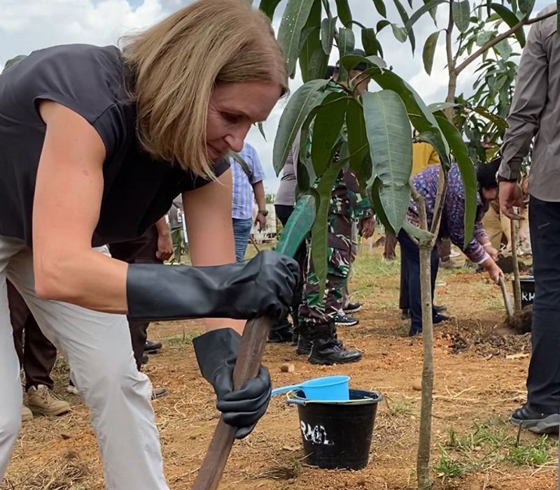 1 uatama 3 klm 9 cm dubes