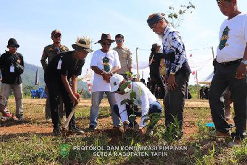 Hal 12 Tapin 35 klm 15