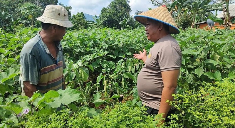 Hal 16 K Baru 3 klm 11