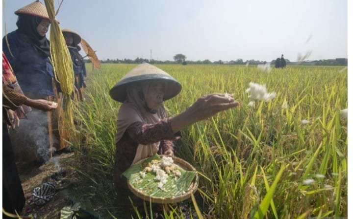 Ketahanan Pangan dan Alternatif Pembiayaan Berkelanjutan 1 IMG 20241007 WA0043