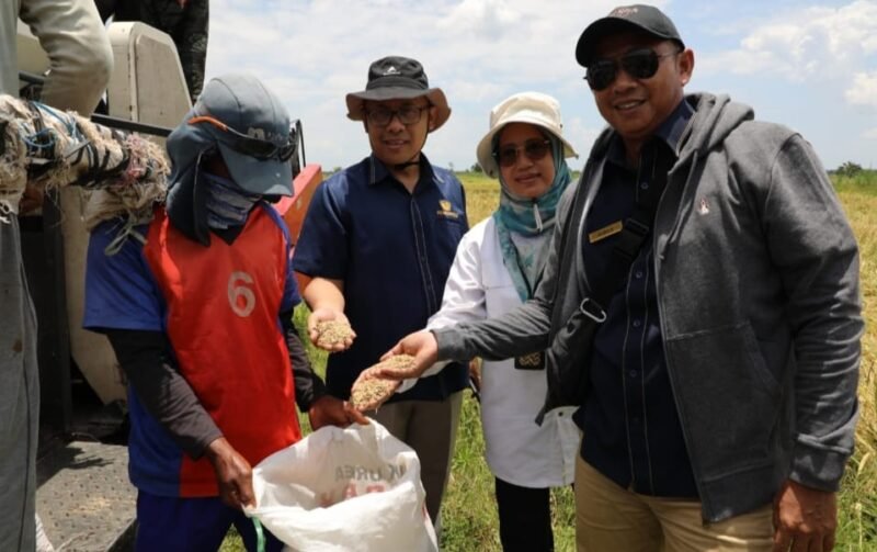 Kakanwil Perbendaharaan Bersama Kadis TPHT Kalteng Kunjungi Food Estate 1 IMG 20241010 WA0042 e1728551334723