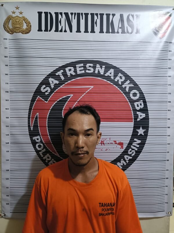 IMG 20241011 WA0042 e1728644335712