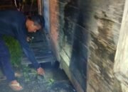 Dua Rumah di Palangka Raya Nyaris Ludes, Diduga Sengaja Dibakar 9 Dua Rumah di Palangka Raya Nyaris Ludes, Diduga Sengaja Dibakar