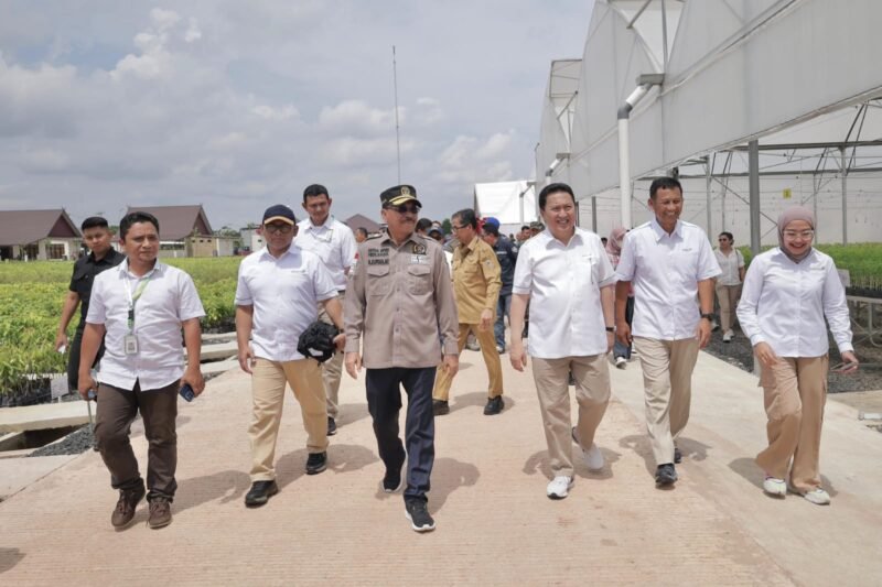 IMG 20241015 WA0007 e1728954864903