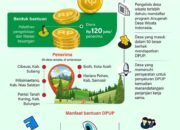 Bantuan Pemerintah untuk Usaha Pariwisata