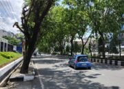 DLH Ajukan Kembali Anggaran Pembelian USG Pohon 24 DLH Ajukan Kembali Anggaran Pembelian USG Pohon