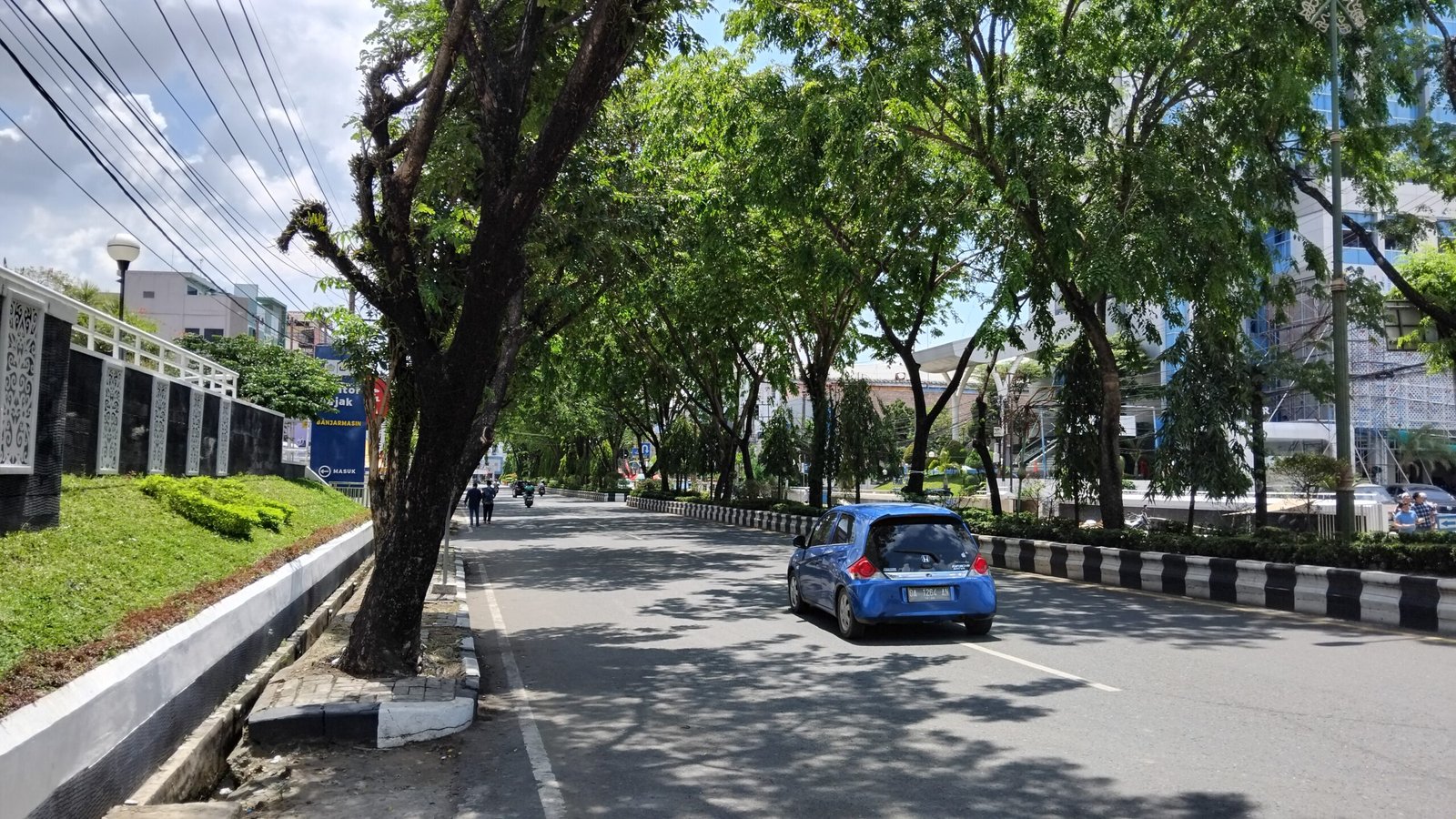 Amir Pohon penghijauan scaled