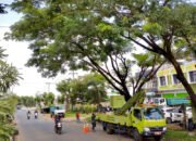 DLH Banjarbaru Intensifkan Pemangkasan Pohon Perindang Jelang Musim Hujan 28 DLH Banjarbaru Intensifkan Pemangkasan Pohon Perindang Jelang Musim Hujan