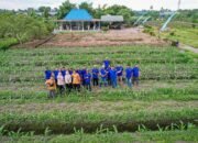BPP Liang Anggang Gelar Pertemuan Bahas Teknologi dan Solusi Petani