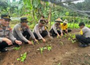 Pekarangan Bergizi Dukung Program Ketahanan Pangan Nasional