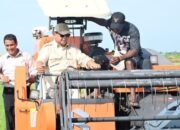 Presiden Tinjau Tanam-Panen Padi di Merauke untuk Swasembada Pangan 19 Presiden Tinjau Tanam-Panen Padi di Merauke untuk Swasembada Pangan