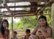 Membangun Masa Depan Hutan Lestari di Taman Nasional Bukit Dua Belas