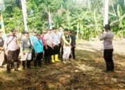 Tanam Jagung, Kapolsek Kalumpang HSS Ajak Masyarakat Manfaatkan Lahan 33 Tanam Jagung, Kapolsek Kalumpang HSS Ajak Masyarakat Manfaatkan Lahan
