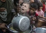 PBB Didesak Nyatakan Darurat Kelaparan di Gaza Utara 15 PBB Didesak Nyatakan Darurat Kelaparan di Gaza Utara