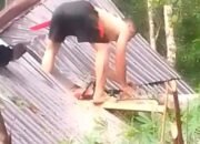Rumah Warga Tertimpa Pohon Akibat Angin Kencang 24 Rumah Warga Tertimpa Pohon Akibat Angin Kencang