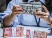 Kurs Rupiah Menguat Dipengaruhi Ini 8 Kurs Rupiah Menguat Dipengaruhi Ini