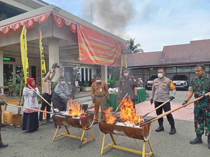 IMG 20241119 WA0016 e1732000439744