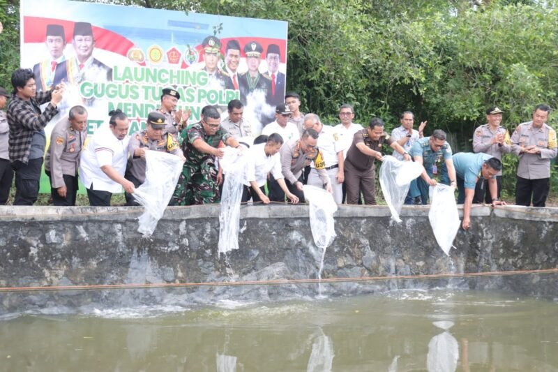 IMG 20241120 WA0051 e1732102910866