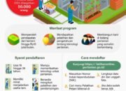 Petani Milenial untuk Gaet Anak Muda Bertani 35 Petani Milenial untuk Gaet Anak Muda Bertani