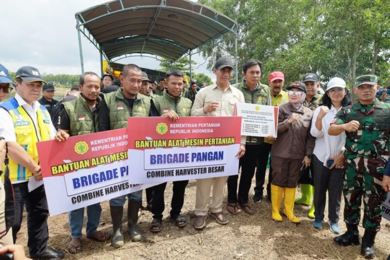 IMG 20241124 WA0023 e1732443266652