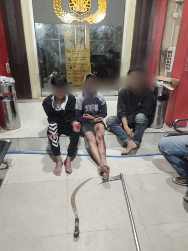 IMG 20241124 WA0034 e1732455691859