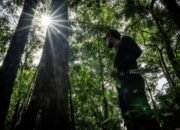 Melestarikan Keanekaragaman Hayati Demi Keberlanjutan Indonesia