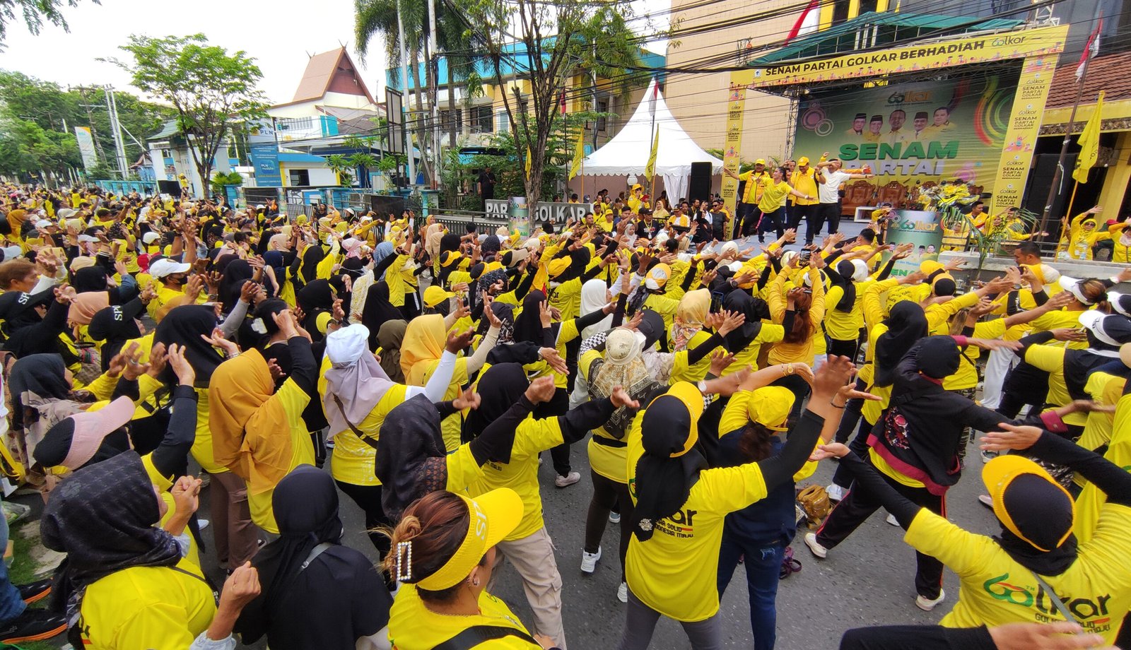 IMG 20241116 074134 scaled