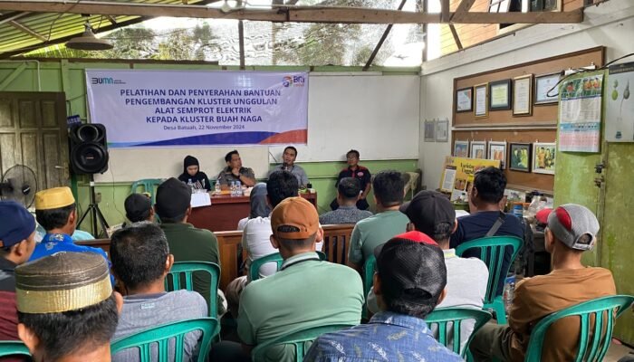 Bentuk Nyata Pemberdayaan BRI KC Tenggarong kepada Petani Buah Naga Desa Batuah 3 IMG 202411327 211734500