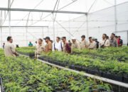 UPT BPSI Kalsel Ungkapkan “Unek-unek” ke Wamenhut