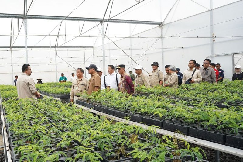 1 utama 7 klm 4 cm wamen