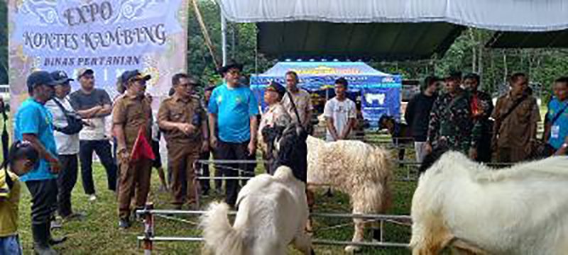 Hal 12 Tapin 35 klm 5