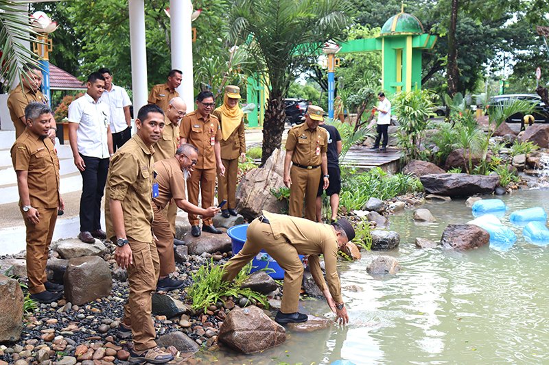Kolam Ikan Koi di RTH Rantau Baru 1 Hal 12 Tapin 35 klm 5