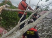 BPBD Balangan Ingatkan Waspada Bencana di Musim Hujan 32 BPBD Balangan Ingatkan Waspada Bencana di Musim Hujan