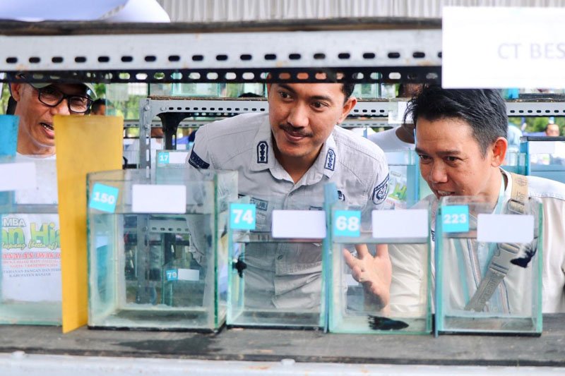 Hal 4 3 KLm Martapura Lomba ikan